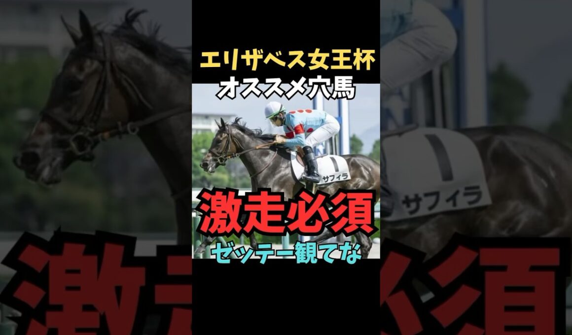 【エリザベス女王杯2025】オススメ穴馬/サフィラ#エリザベス女王杯 #サフィラ#競馬 #競馬予想 #競馬予想tv #中央競馬予想 #ウマキング #うまログ #義英真 #shorts