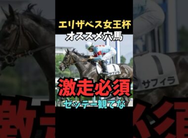 【エリザベス女王杯2025】オススメ穴馬/サフィラ#エリザベス女王杯 #サフィラ#競馬 #競馬予想 #競馬予想tv #中央競馬予想 #ウマキング #うまログ #義英真 #shorts