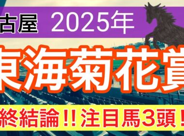 【東海菊花賞2025】蓮の地方競馬予想(最終結論)