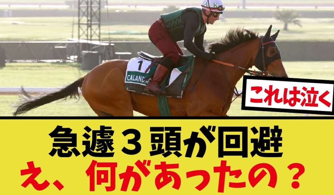 「JC来日外国馬1頭だけに…」に対するみんなの反応集