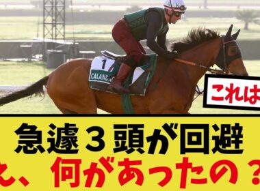 「JC来日外国馬1頭だけに…」に対するみんなの反応集