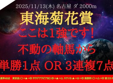 【 最終結論 】東海菊花賞 2025 予想 ここは1強です！不動の軸馬から単勝1点 OR 3連複7点【地方競馬予想】
