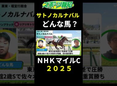 【NHKマイルカップ2025】サトノカルナバルは買うべき？強さを解説