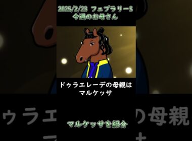 【2025年2月23日 フェブラリーS（G1）】ブエナとオルフェの「今週の母さん」【ドゥラエレーデ】【マルケッサ】