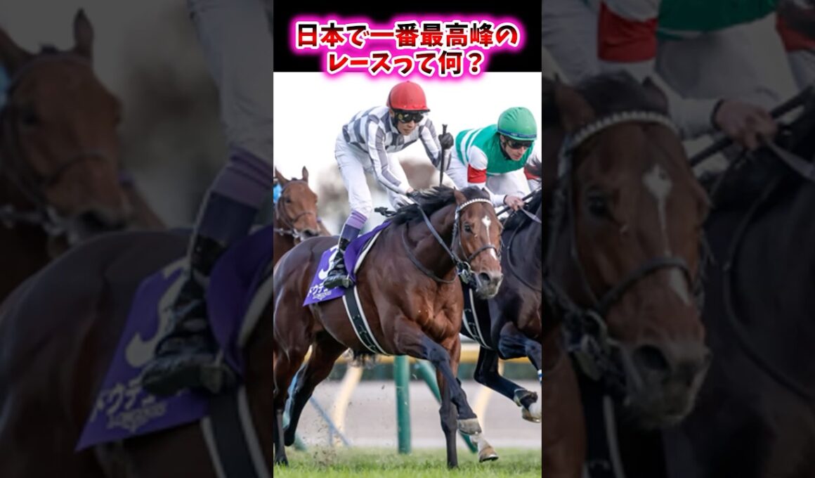 日本で一番最高峰のレースって何？【競馬反応集】