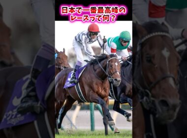 日本で一番最高峰のレースって何？【競馬反応集】