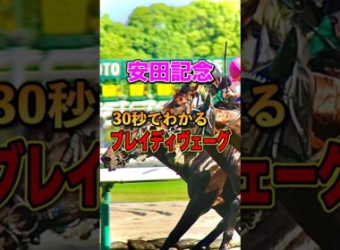 【安田記念2025】30秒でわかるブレイディヴェーグ