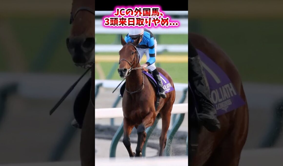 JCの外国馬、3頭来日取りやめ…【競馬反応集】 #ジャパンカップ #カランダガン #ゴリアット