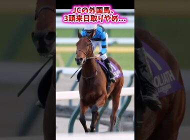 JCの外国馬、3頭来日取りやめ…【競馬反応集】 #ジャパンカップ #カランダガン #ゴリアット