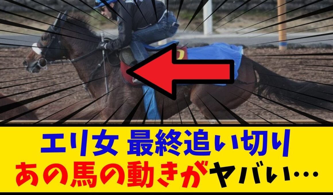【エリザベス女王杯】「有力馬最終追い切り情報 やはり気になるのはあのG1馬か… 」に対するみんなの反応【反応集】