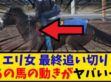【エリザベス女王杯】「有力馬最終追い切り情報 やはり気になるのはあのG1馬か… 」に対するみんなの反応【反応集】