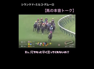 ヴィクトリアマイル【シランケド×ミルコ・デムーロ】馬の本音トーク　#ヴィクトリアマイル#シランケド#デムーロ#競馬