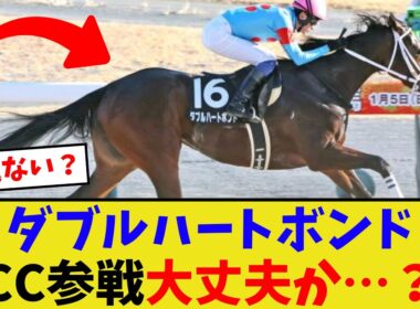 ダブルハートボンド、チャンピオンズカップ参戦…【競馬反応集】