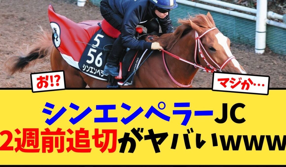 シンエンペラー、ジャパンカップ2週前追い切りタイムがとんでもない事に…【競馬反応集】