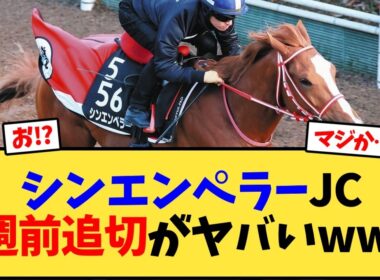 シンエンペラー、ジャパンカップ2週前追い切りタイムがとんでもない事に…【競馬反応集】