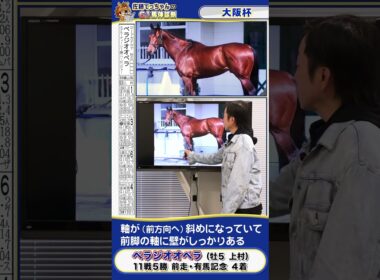 【2025年 大阪杯】ベラジオオペラ馬体診断　 #shorts #競馬 #予想