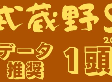 【武蔵野ステークス2025】データ分析｜フェブラリーS舞台で輝く！今年の主役はこの馬！