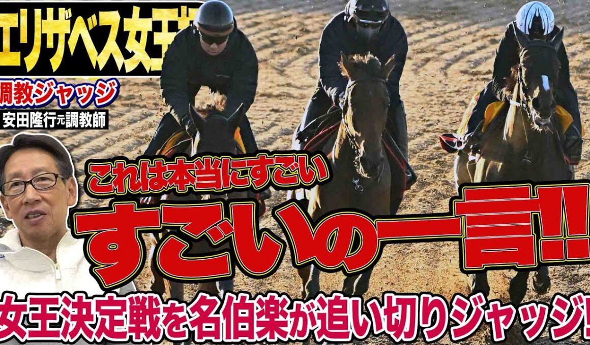 【エリザベス女王杯2025】『すごいの一言ですよ』安田隆行元調教師が調教ジャッジ　「動き」「時計」「調教過程」を採点しピックアップした4頭を発表！《東スポ競馬ニュース》