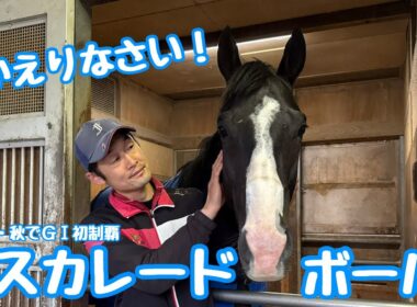 【GⅠ連勝へ】天皇賞馬マスカレードボールが帰厩！