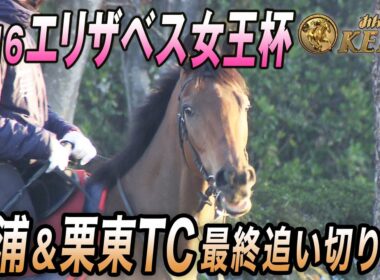 【2025 エリザベス女王杯・最終追い切り】秋の最強女王へ！レガレイラ登場！　みんなのKEIBA 11月16日午後3時放送