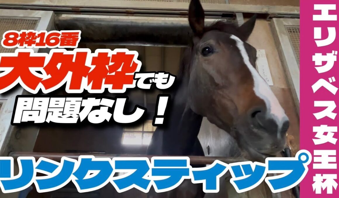 【エリザベス女王杯2025】大外枠でも問題なし！得意の京都で一発を狙うリンクスティップの走りに注目！《東スポ競馬》