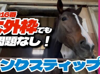 【エリザベス女王杯2025】大外枠でも問題なし！得意の京都で一発を狙うリンクスティップの走りに注目！《東スポ競馬》