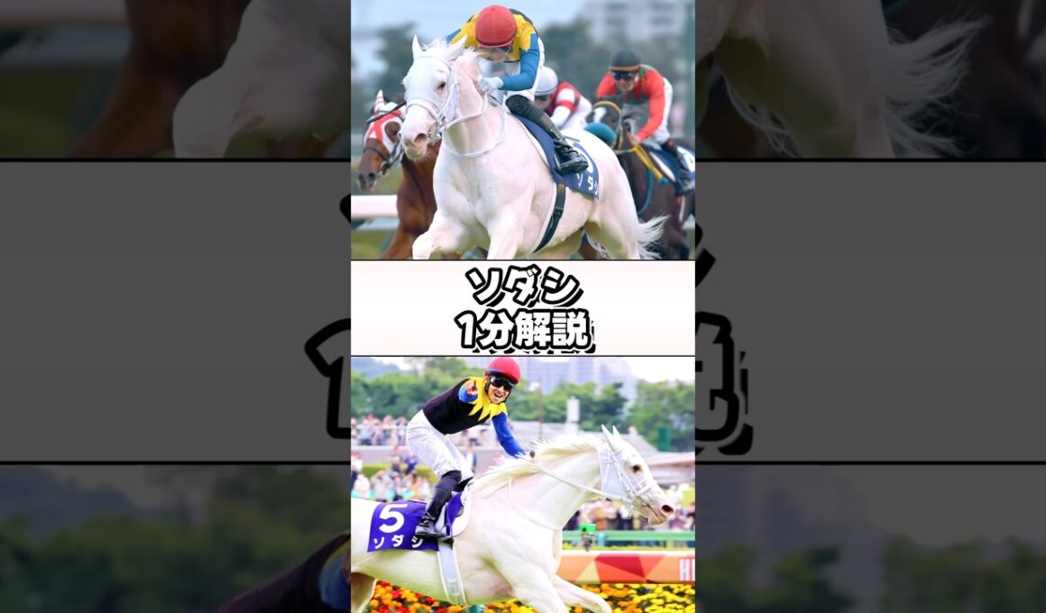 The Queen of Pure White #ソダシ #1分解説 #shorts