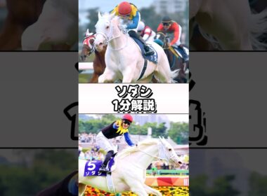 The Queen of Pure White #ソダシ #1分解説 #shorts