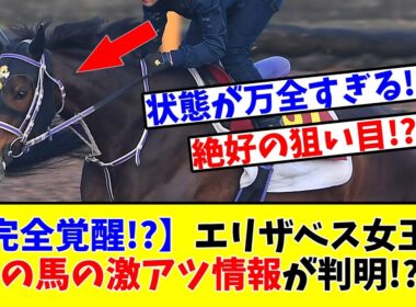 【エリザベス女王杯】【完全覚醒!?】エリ女出走予定のあの馬の激アツ情報がついに判明してしまう!?www