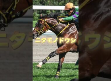 G1朝日杯FSの穴馬３頭を紹介＃競馬＃競馬予想＃穴馬＃タイセイカレント＃アドマイヤズーム＃ニタモノドウシ