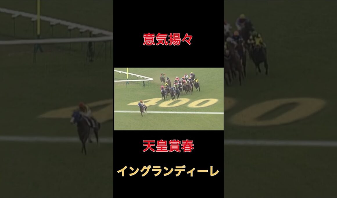 意気揚々イングランディーレ【天皇賞春】#競馬#馬券#予想