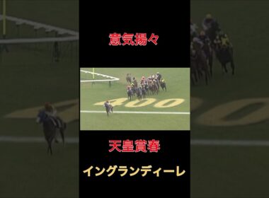 意気揚々イングランディーレ【天皇賞春】#競馬#馬券#予想