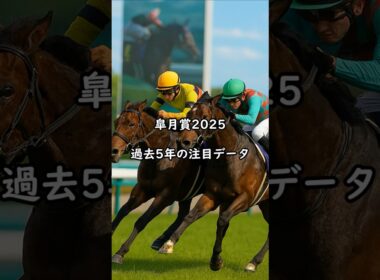 皐月賞2025 過去5年の注目データ