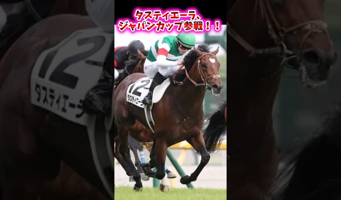 タスティエーラ、ジャパンカップ参戦！！【競馬反応集】 #タスティエーラ #ジャパンカップ