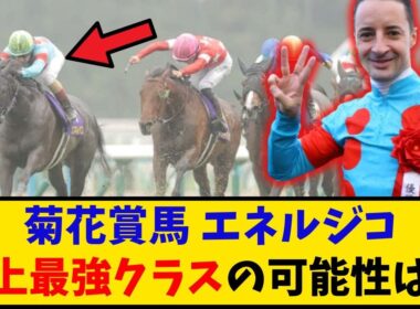 【菊花賞】「菊花賞馬エネルジコが史上最強クラスである可能性はどれくらい？」に対するみんなの反応【反応集】