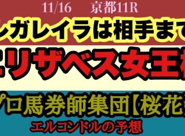 エルコンドル氏のエリザベス女王杯2025予想！！有馬記念覇者レガレイラ一強ムードだが競馬には絶対はない！外有利の印象も内が全くダメでもない？！今年は波乱含み！