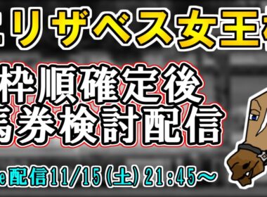 【エリザベス女王杯2025/最終結論】バイアスの影響力が強い京都芝外回りの中距離戦…隊列やペースは如何に…？【バーチャルサラブレッド・リュウタロウ/競馬Vtuber】