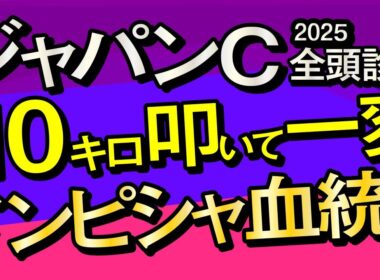 【ジャパンカップ2025予想大会・全頭診断】プラス10キロ叩いて一変ドンピシャ血統人気落ち馬！データ分析からレースシュミレーション！クロワデュノール、マスカレードボール、ダノンデサイルなど出走予定。