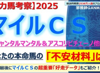 【マイルチャンピオンシップ2025 有力馬考察】ジャンタルマンタル＆アスコリピチェーノ他 人気馬5頭を徹底考察！