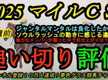 【1週前追い切り評価】2025マイルチャンピオンシップ！注目のジャンタルマンタルは良化？ソウルラッシュの調教を見て感じたこと！状態が良さそうなのは？