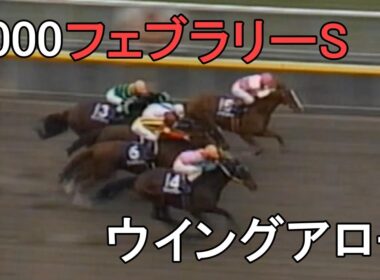 ウイングアロー 2000年(平成12年)第17回フェブラリーS(G1)
