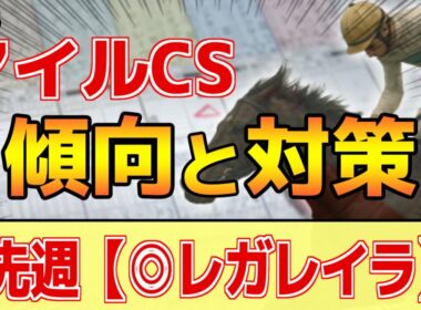 【マイルチャンピオンシップ2025】このレースは"特徴"がある！●●●適性が必要！？