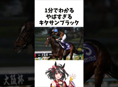 【1分でわかる】やばすぎるキタサンブラック　#shorts  #競馬　#ウマ娘　#有馬記念
