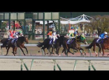 【チャンピオンズカップ 2024】煽りV、ファンファーレ、レース、引き上げ、ウイニングラン