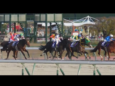 【チャンピオンズカップ 2024】煽りV、ファンファーレ、レース、引き上げ、ウイニングラン