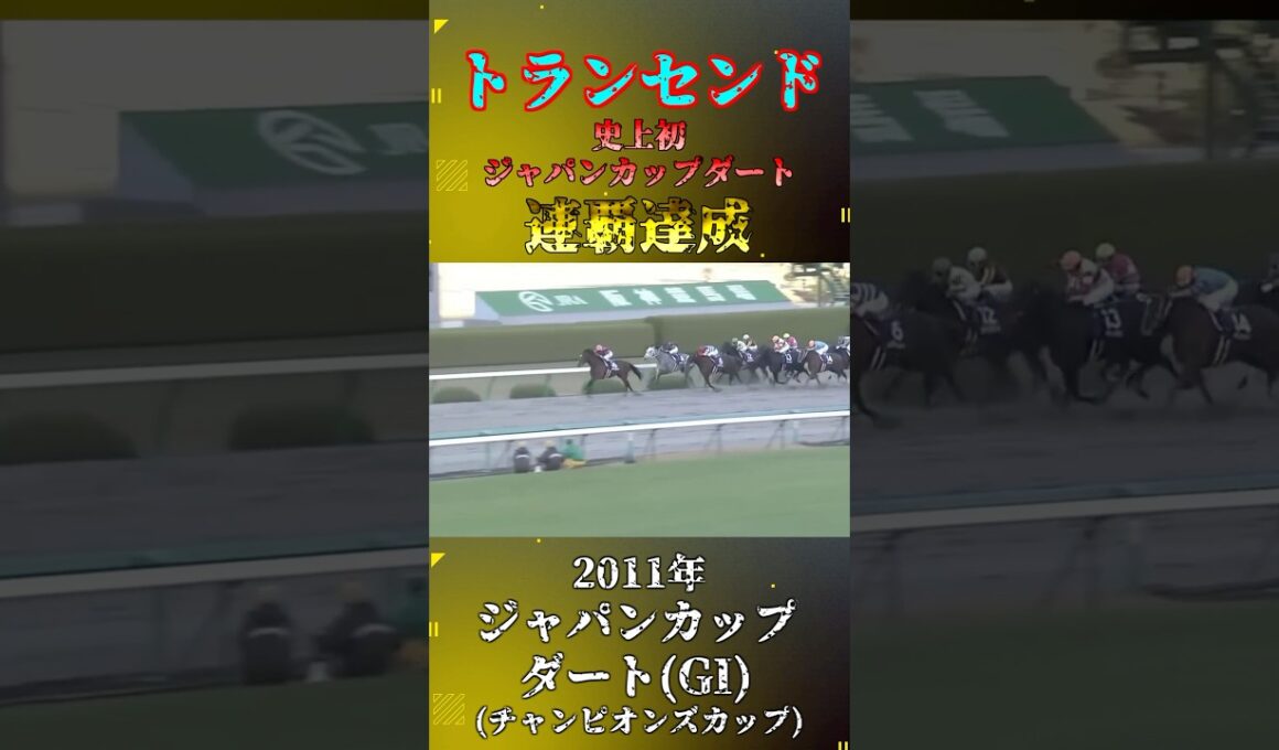 トランセンド【2011年ジャパンカップダート(GI)】#競馬 #shorts #ジャパンカップダート #チャンピオンズカップ #トランセンド
