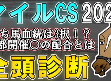 【マイルチャンピオンシップ2025 全頭診断】世間が思うより条件は合う！？安田記念上位組に割り込めそうな馬を探せ！ ～血統×タイム分析×レース回顧で見る全頭診断～【リュウタロウ/競馬Vtuber】