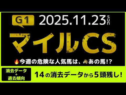 『2025 G1 #マイルCS   消去データ & 過去傾向 』消去データから5頭残し！ 危険な人気馬は、あの馬！？