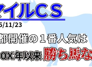 【マイルチャンピオンシップ2025】阪神開催を除く過去10年で7歳以上は3着内率0%！？先週の結果&データ&有力馬情報&予想