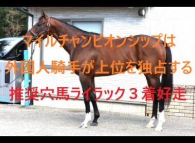 マイルチャンピオンシップは外国人騎手が上位を独占する！！推奨穴馬ライラック好走